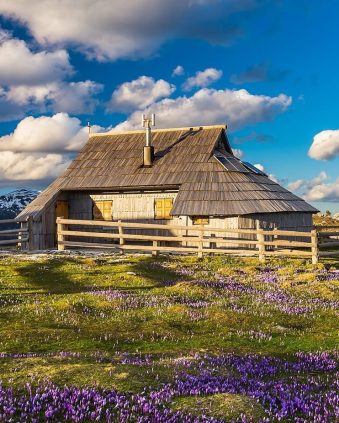 00_naslovna__f009910-velika_planina_ana_pogacar-photo-l_-_copy