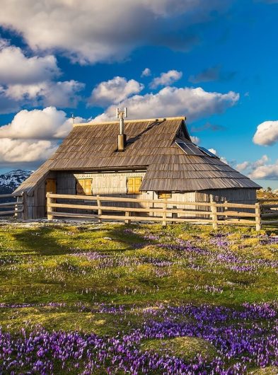 00_naslovna__f009910-velika_planina_ana_pogacar-photo-l_-_copy