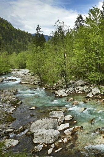 Savinja-pri-Igli_Savinja-River-near-Igla-natural-site_Kamnik-Savinja-Alps_Savinja-and-Êalek-Valley_Slovenia_photo-T.-Jesenicnik